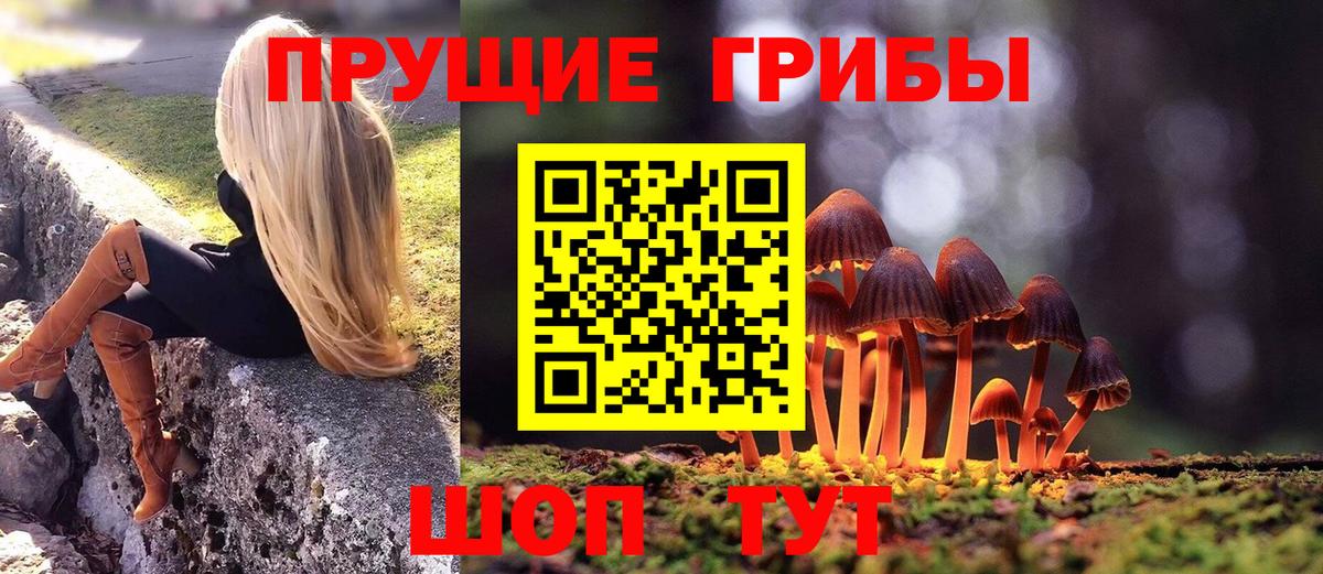 Псилоцибиновые грибы мухоморы Севастополь