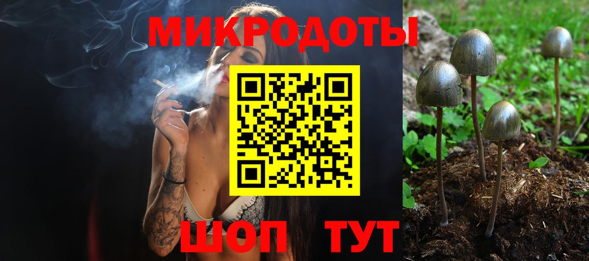 Псилоцибиновые грибы Cubensis  Вход с VPN  Севастополь 